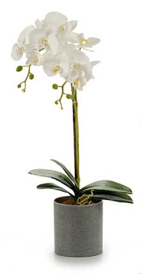 Vaso decorativo Ibergarden orquídea - 51cm